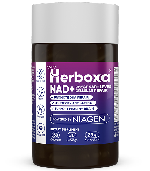 Herboxa® NAD+ | Innovatief Anti-verouderingssupplement