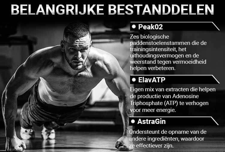Herboxa Muscle Builder