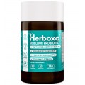 Herboxa Probiotic 60 Billion | Voedingssupplement